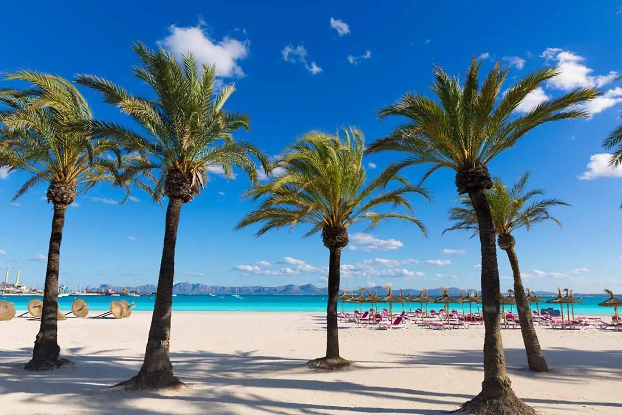 Apartment Oiza Canopus Sea Views At The Beach Alcudia  Spain